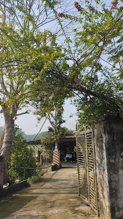 Đất nền Ngọc Lập Yên Lập 2500m² giá 2 tỷ - Cơ hội đầu tư tuyệt vời!