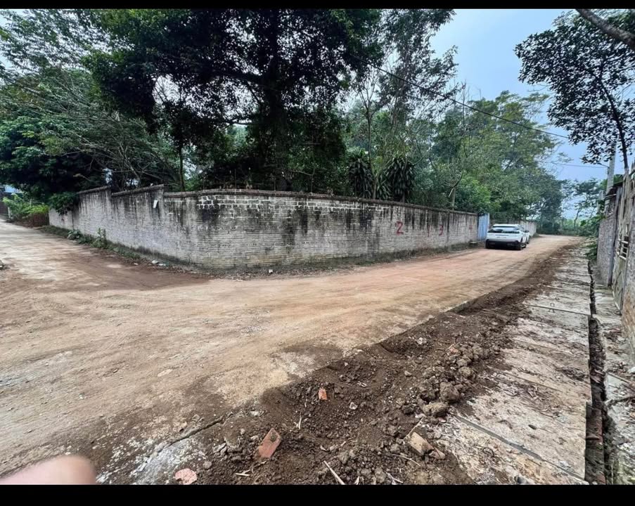 Đất Kim Đức, Việt Trì 100m² giá 1 tỷ - Đầu tư sinh lời hấp dẫn!