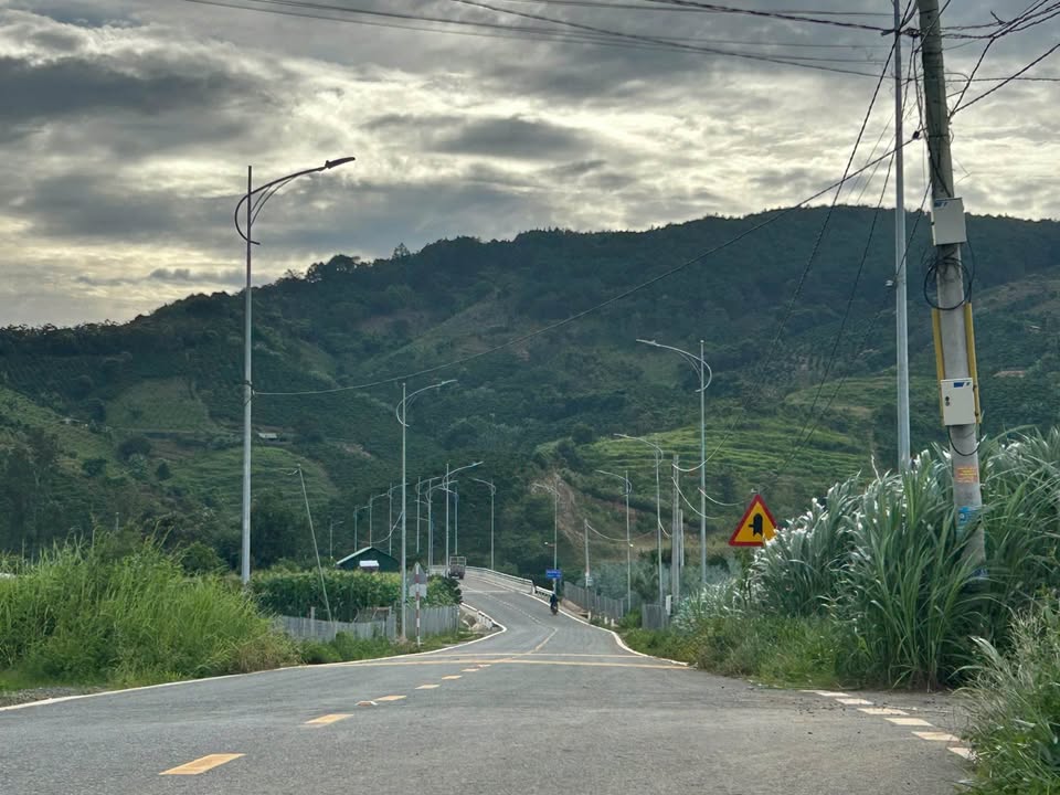 Đất nền khu biệt thự Bồng Lai, Hiệp Thạnh, 500m² giá 1.3 tỷ - Đầu tư sinh lời hấp dẫn!