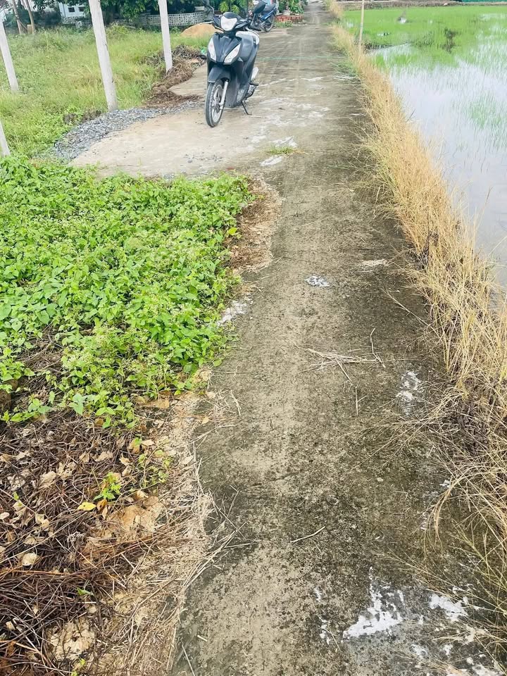 Đất nền Cộng Lạc - Bình Đông - Gò Công 300m² giá 380 triệu - Sổ đỏ chính chủ!