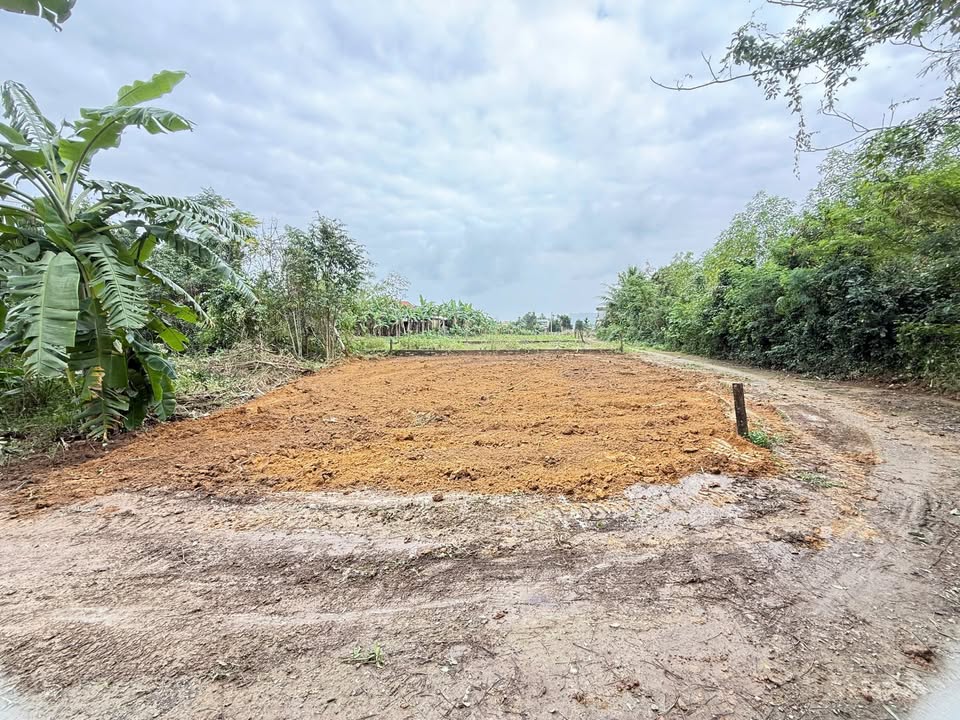 Đất thổ cư Hòa Nhơn 184m² giá thỏa thuận - 2 mặt tiền đắc địa!