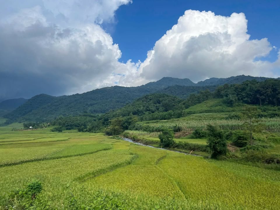 Đất Thạch Yên - Cao Phong - 2000m² giá 1 tỷ - Cơ hội hiếm có không thể bỏ lỡ!