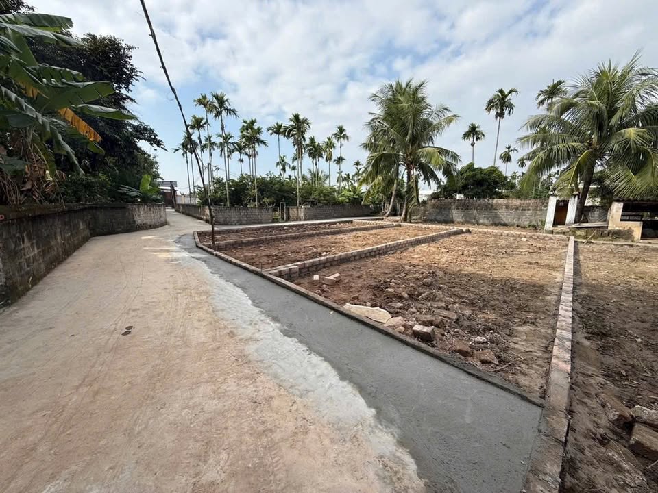 Đất nền khu đô thị Thiên Hương Hải Phòng 65m² - Cơ hội đầu tư vàng!