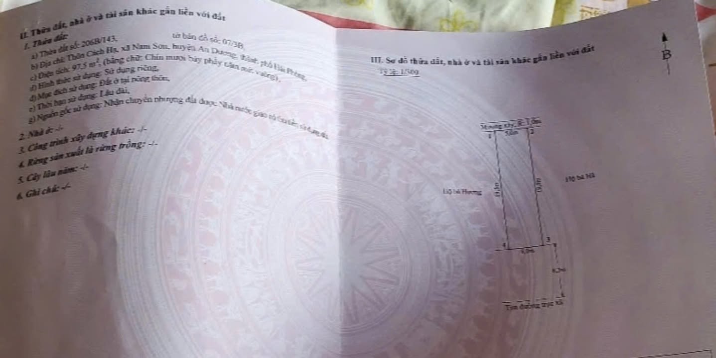 Đất nền xã Nam Sơn, An Dương 97.5m² giá 6 tỷ - Đầu tư sinh lời ngay!