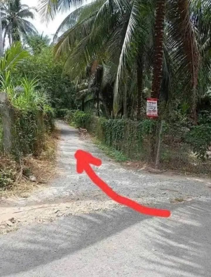 Đất nền ấp Sóc Thác, Trà Vinh 195m² giá 310 triệu - Cơ hội đầu tư tuyệt vời!