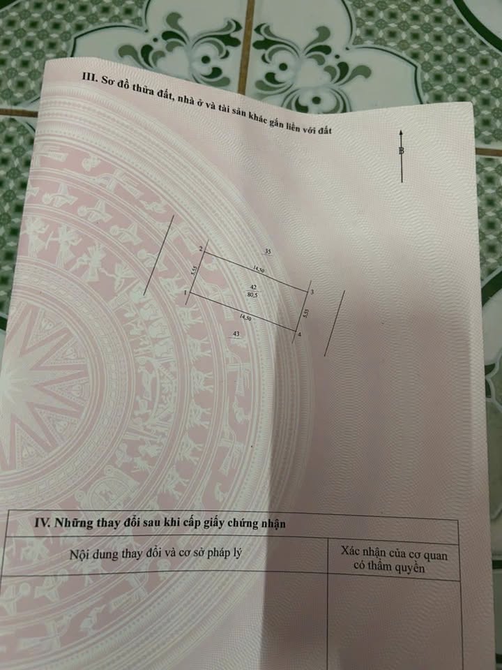 Đất nền Vân Đình 80m² giá thỏa thuận - Cơ hội đầu tư hấp dẫn!