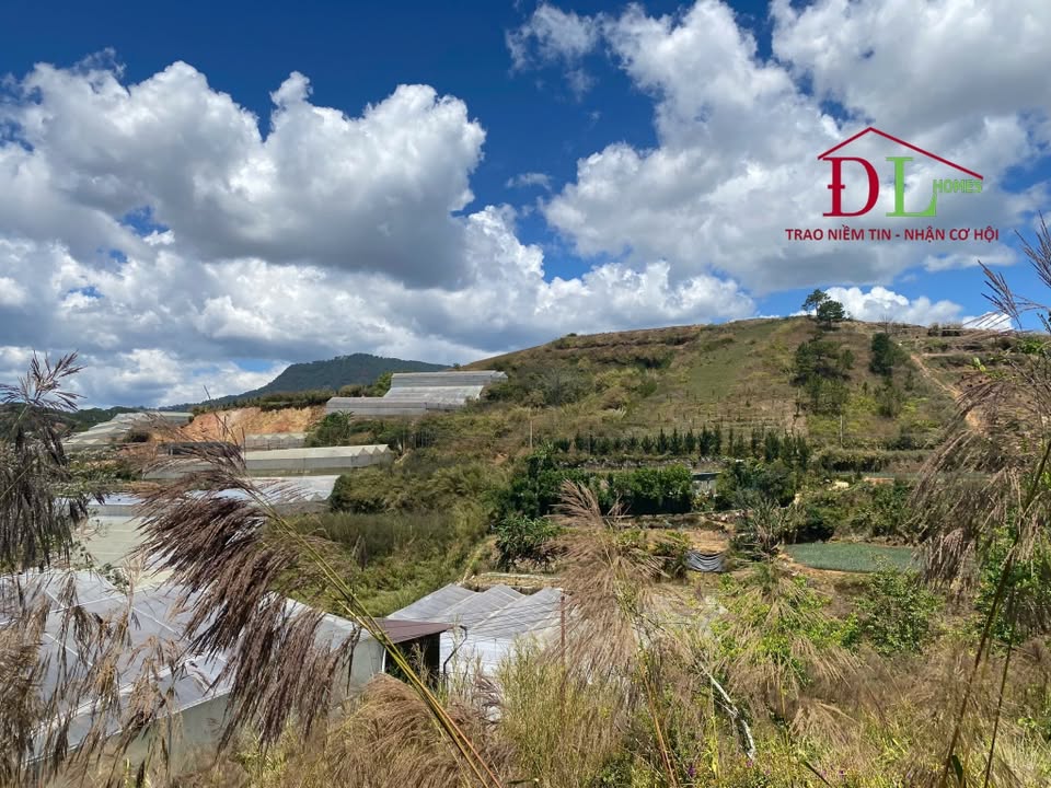 Bán đất Đan Kia, Phường 7, Đà Lạt 1985.7m² - View thung lũng tuyệt đẹp, đầu tư sinh lời!