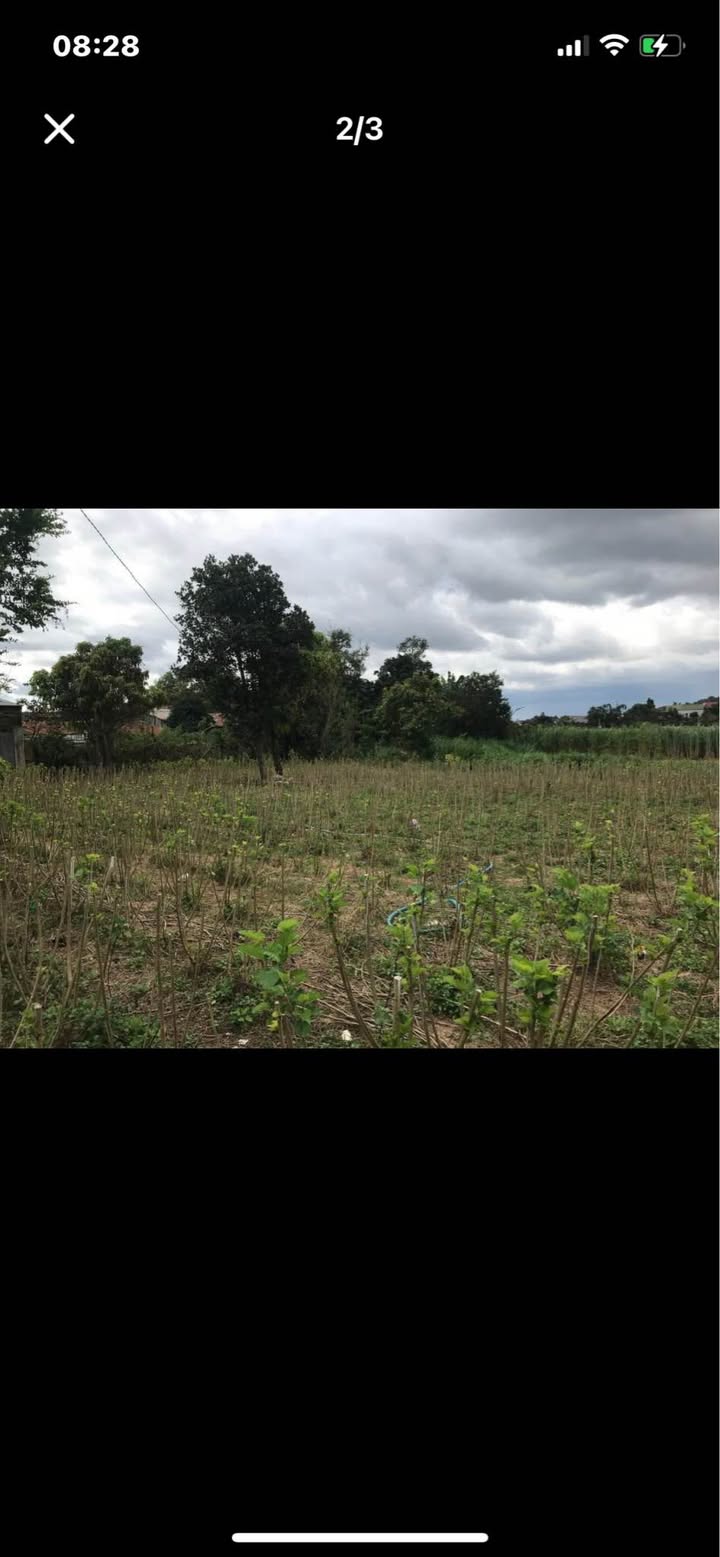 Đất nền chính chủ xã Bình Thạnh, Đức Trọng 985m² giá 1.x tỷ - Đầu tư sinh lời hiệu quả!