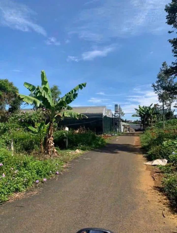 Đất Phường 2 Bảo Lộc 192m² giá 1.8 tỷ - Tiện ích đầy đủ gần suối