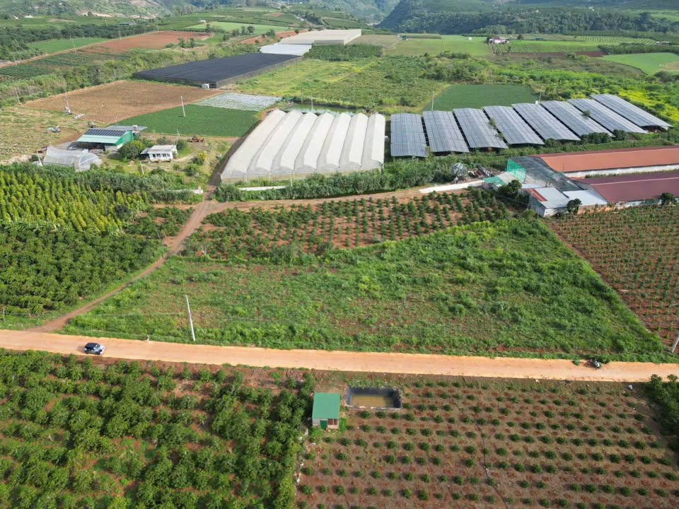 Đất nền đầu tư xã Tân Hội, Lâm Đồng 170m² giá chỉ 500 triệu - Cơ hội sinh lời hấp dẫn!