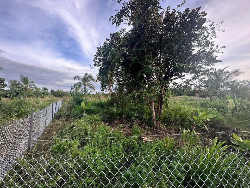 Đất nền Phú Thịnh, Tân Phú 3600m² giá 350 triệu - Sổ hồng riêng ngay trong tay!