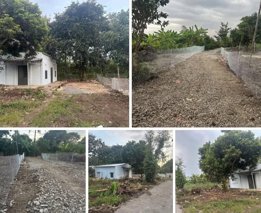 Đất nền 600m² tại xã Phú Thanh, Tân Phú - Giá 800 triệu, thương lượng chính chủ!