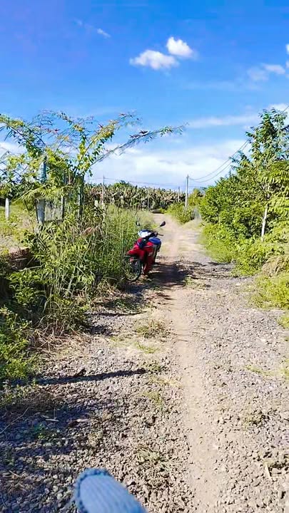 Đất nền Phú Hòa, Định Quán 1009m² giá 465 triệu - Sổ hồng riêng, đầu tư lý tưởng!