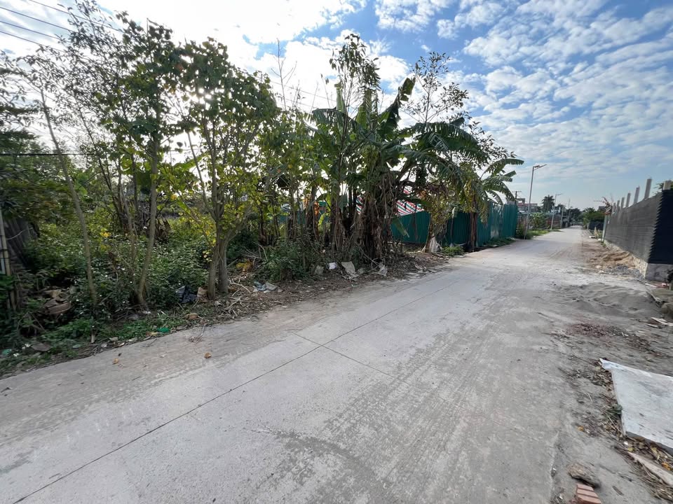 Đất nền Chương Mỹ 300m² giá 1.95 tỷ - Sổ đỏ chính chủ, ô tô đỗ cửa!