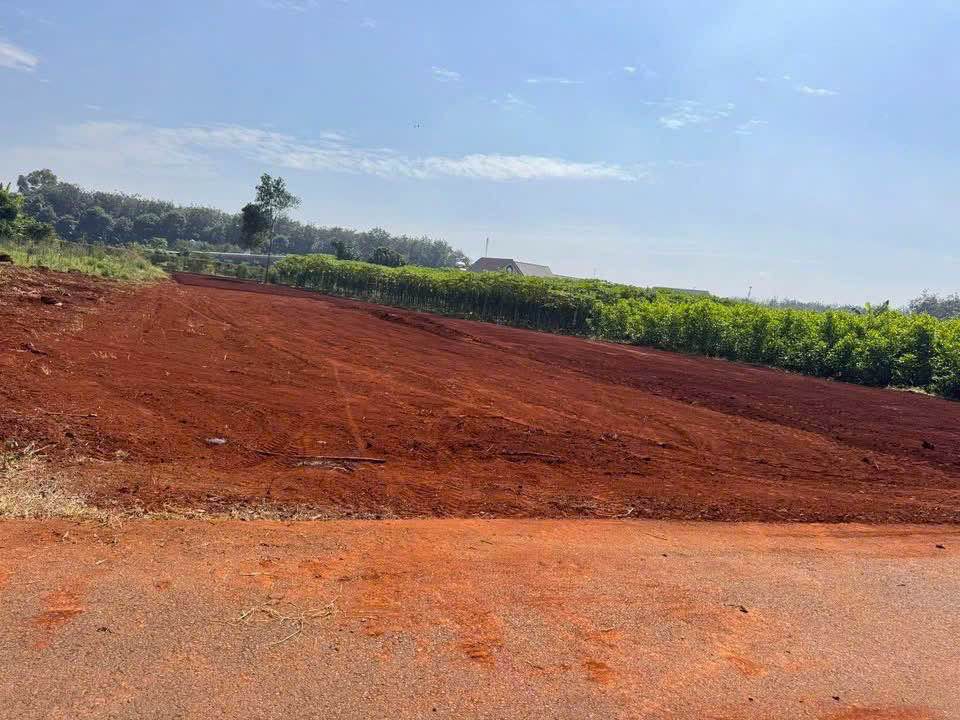 Đất nền Long Phước Bà Rịa 500m² giá 1.9 tỷ - Pháp lý rõ ràng, sẵn sàng xây dựng!