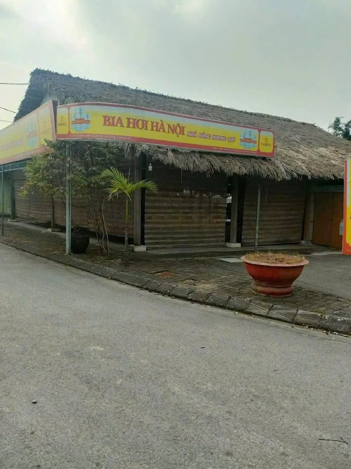 Bán đất dịch vụ Lưu Xá, Quất Động, Thường Tín 80m² - Đường rộng ô tô tránh nhau!