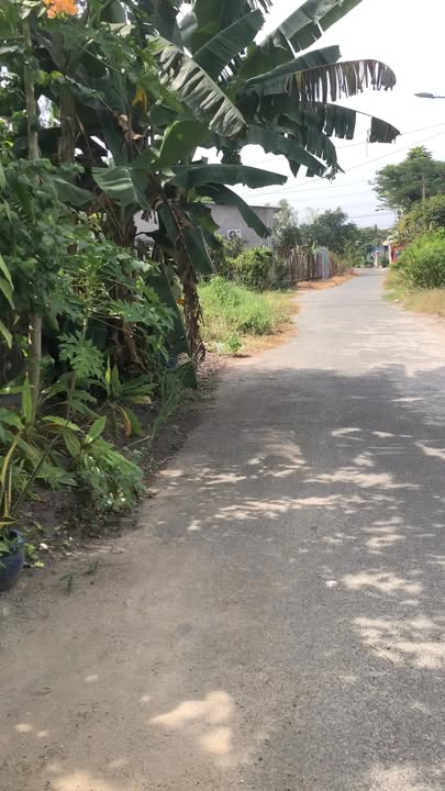 Nhà riêng Tân Thạnh Tây, Củ Chi 108m² giá 550 triệu - Chính chủ cần bán gấp!