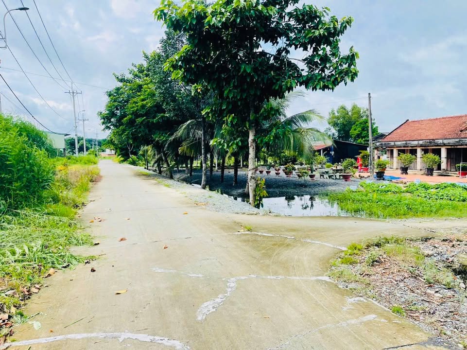 Nhà vườn đường Nguyễn Thị Tấm, Củ Chi 389m² giá 3.4 tỷ - Nhà cấp 4 kiên cố, nhiều cây ăn trái!