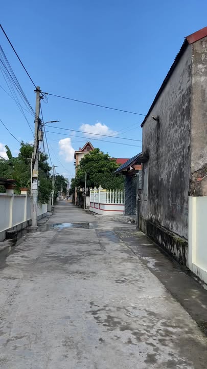 Đất nền lô góc Văn Hội, Ninh Giang 96m² - Tiềm năng xây biệt thự đẹp!