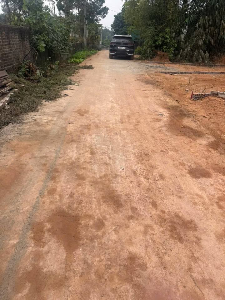 Đất thổ cư Thái Hòa - Lập Thạch, 100m² chỉ 500 triệu - Sổ hồng chính chủ sẵn sàng!