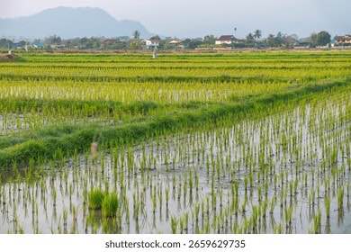 Đất nền Phường Xuân Hoà - 120m² giá 1.2 tỷ - Đường ô tô rộng rãi, view đẹp!