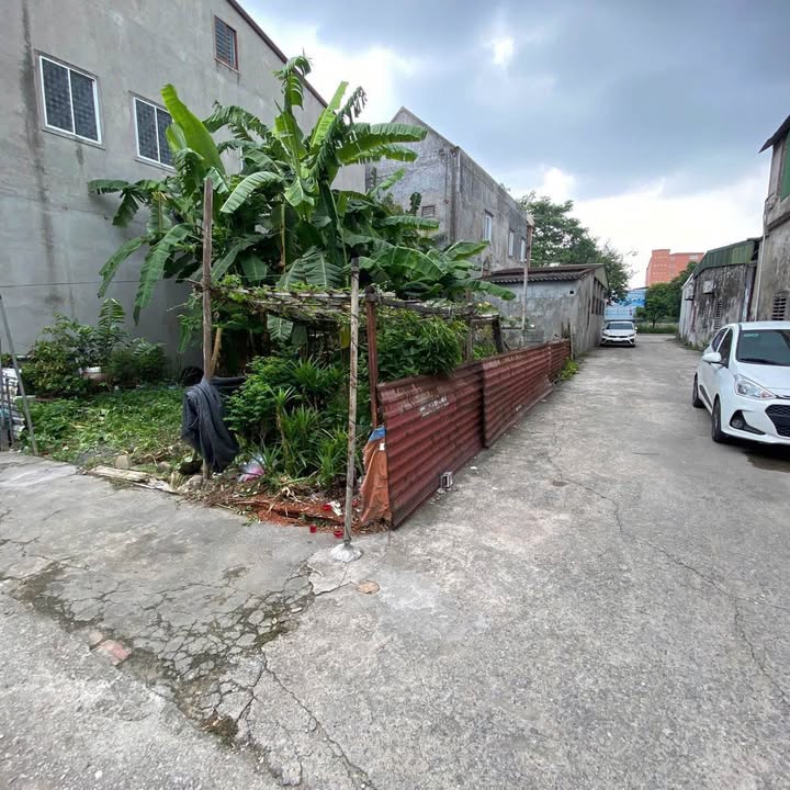 Đất nền góc đường Nguyễn Sính Sắc, P. Cửa Nam 74.3m² giá 3 tỷ - Cơ hội đầu tư tuyệt vời!