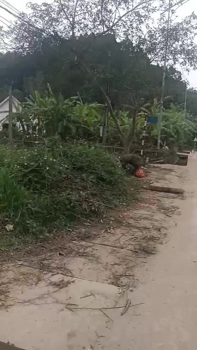 Đất nền khu phố 1, thị trấn Tân Kỳ 161m² giá 1.1 tỷ - Đầu tư sinh lời hấp dẫn!