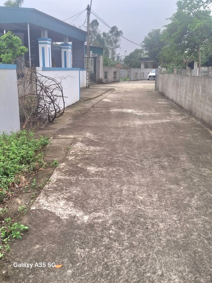 Đất Nghi Trung, Nghi Lộc 137m² giá chỉ 700 triệu - Cơ hội đầu tư hấp dẫn!