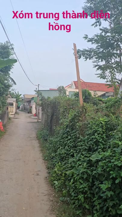 Đất nền Diễn Hồng, Diễn Châu 150m² chỉ 1.7 tỷ - Cơ hội đầu tư hấp dẫn!