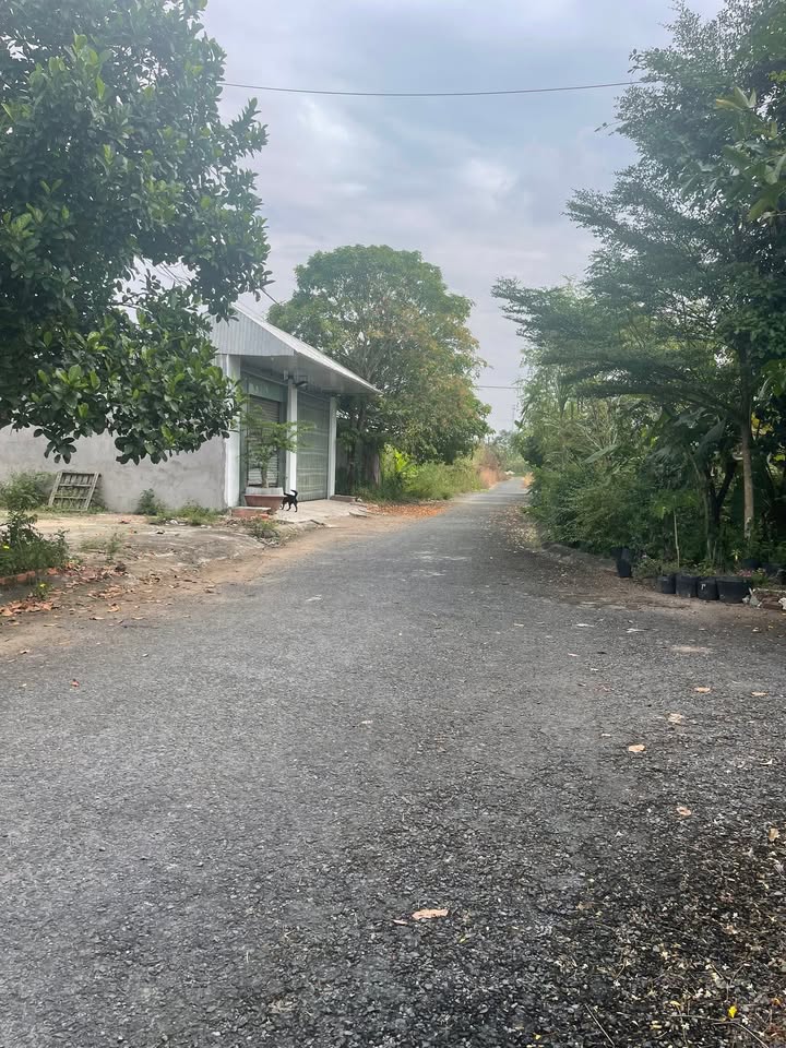 Đất nền thổ cư Đường Số 3, P Mỹ Hoà, 165.9m² - Giá chỉ 1 tỷ!