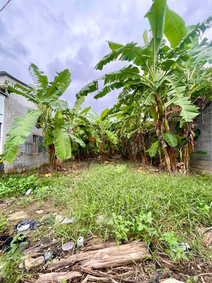 Lô đất Diên Khánh 385m² giá 3.08 tỷ - Cơ hội đầu tư tuyệt vời!