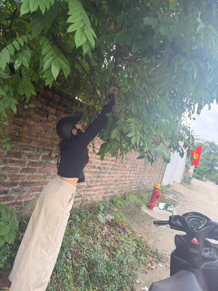 Lô đất Tích Giang, Phúc Thọ 74m² giá 1 tỷ - Đường ô tô vào tận nơi!