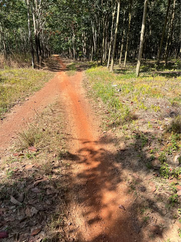 Đất nền 1.5 sào tại Đồng Tiến, giá 1.05 tỷ - Đường ô tô vào tận nơi!