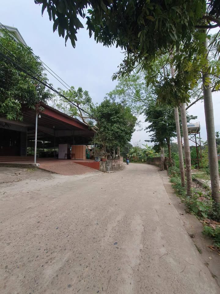 Đất nền Vân Phú, Việt Trì 87m² giá 2 tỷ - Tiện ích đầy đủ, đầu tư sinh lời!