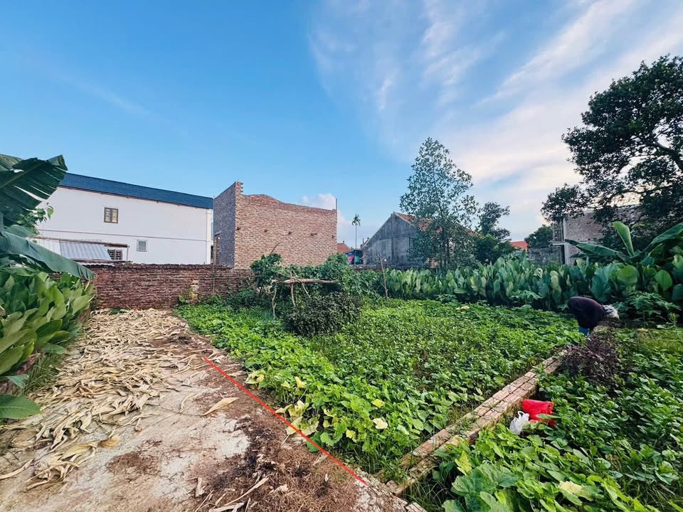 Đất nền 40m² xã Kim An, Thanh Oai - Tiềm năng tăng giá mạnh!