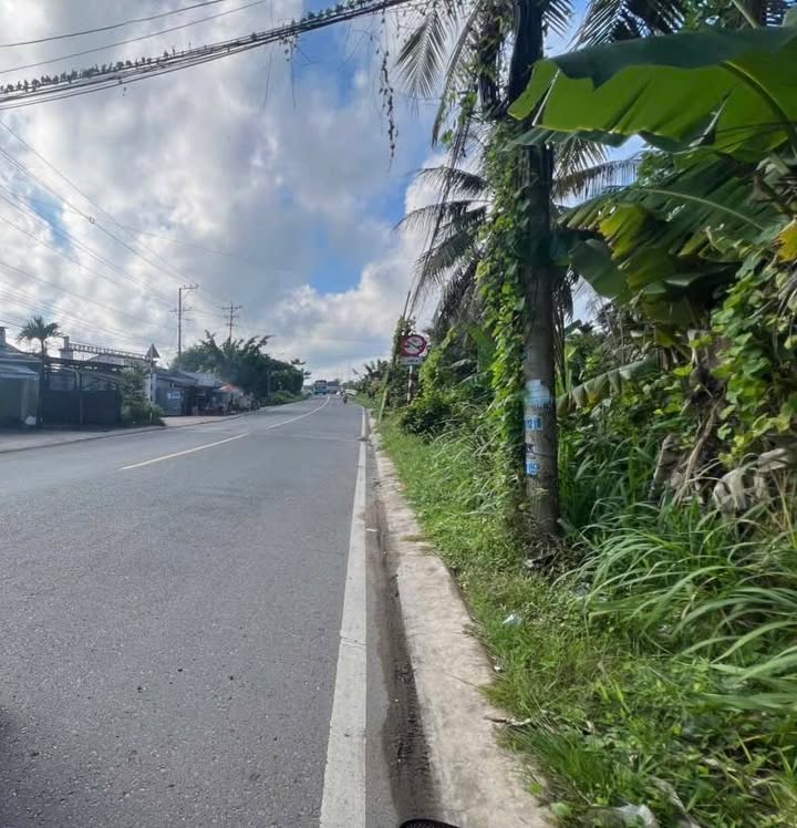 Đất mặt tiền TL 885 Giồng Trôm 5267m² giá 9 tỷ - Cơ hội đầu tư hấp dẫn!