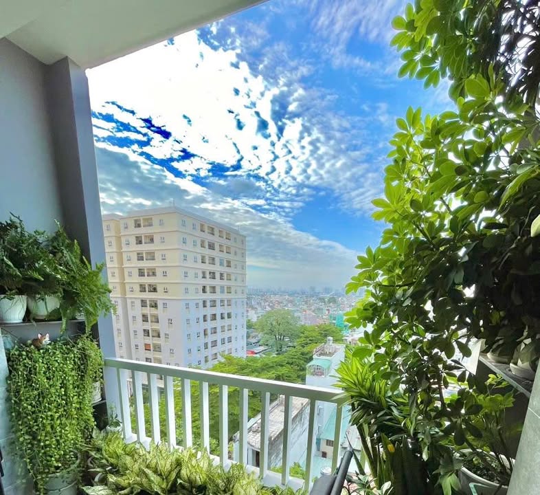 Chung cư Hà Đô Z751 Gò Vấp 72m² giá 4.8 tỷ - Sẵn sàng vào ở ngay!