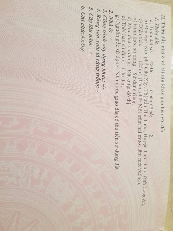 Đất ở đô thị ĐS1 - Võ Văn Tịnh, Thủ Thừa, Long An 125m² giá 2.9 tỷ - Đầu tư sinh lời hấp dẫn!