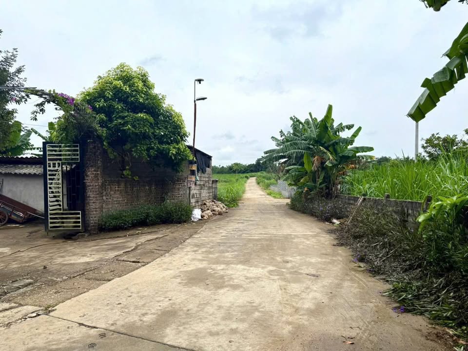 Đất thổ cư Vân Hoà, Ba Vì 612m² - Sổ hồng chính chủ, pháp lý rõ ràng!