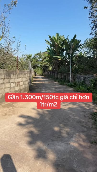 Đất nền Sông Công 1300m² giá chỉ 1.3 tỷ - Cơ hội đầu tư sinh lời!