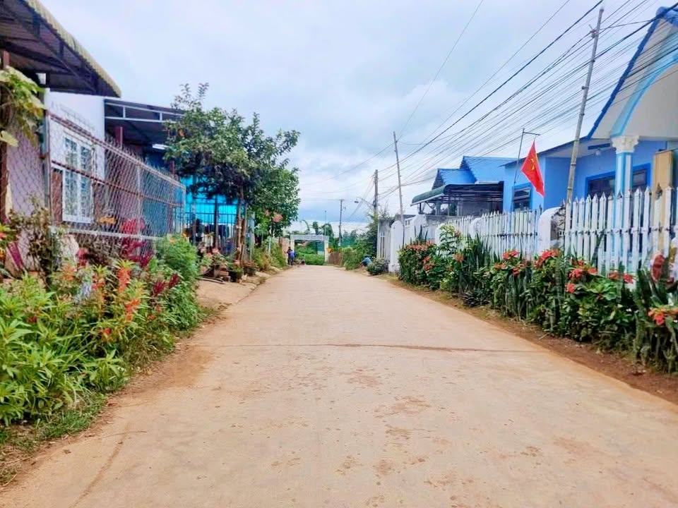 Đất nền Phú Hội, Đức Trọng 210m² giá 1.3 tỷ - Cơ hội đầu tư hấp dẫn!