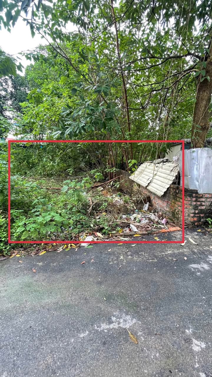 Đất thổ cư Xuân Hòa, Phúc Yên 103m² - Vị trí đắc địa, ô tô vào tận nơi!