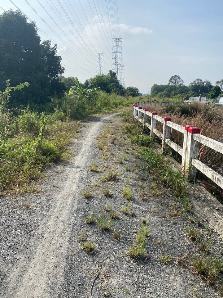 Đất thổ cư 1600m² xã An Phước, Long Thành - Giá chỉ 950 triệu - Cơ hội đầu tư tuyệt vời!