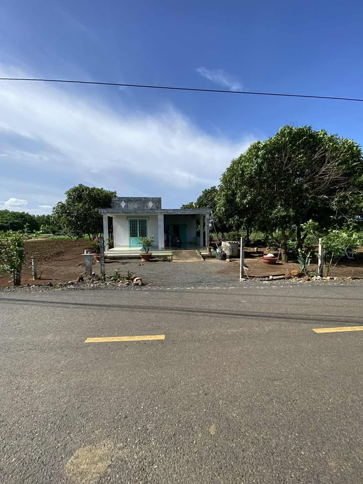 Đất Láng Dài Đất Đỏ 3500m² - Pháp lý rõ ràng, chính chủ bán gấp!