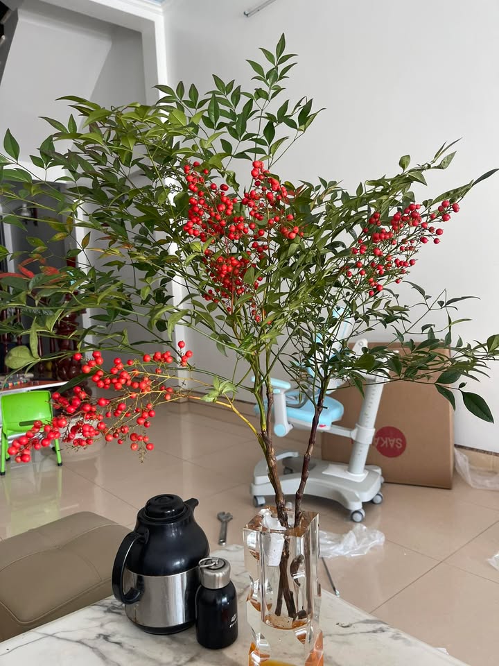 Đất nền An Tảo Hưng Yên 80m² giá chỉ 3,9 tỷ - Cơ hội đầu tư hấp dẫn!