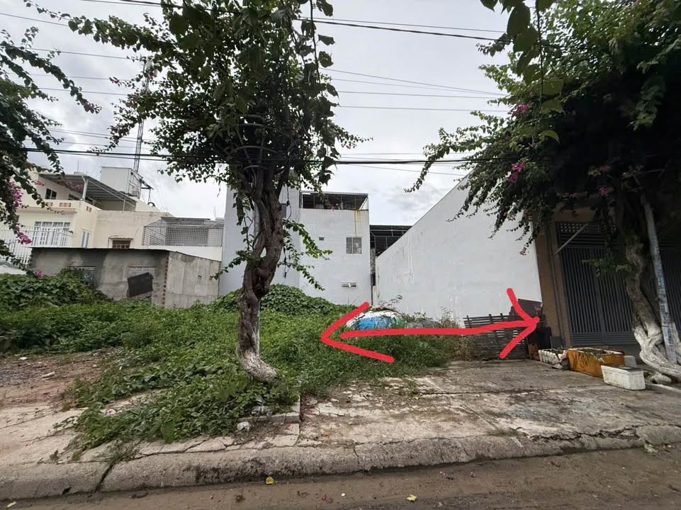 Đất Bạch Thái Bưởi TĐC Hòn Rớ 96m² giá 4.32 tỷ - Đầu tư sinh lời ngay!