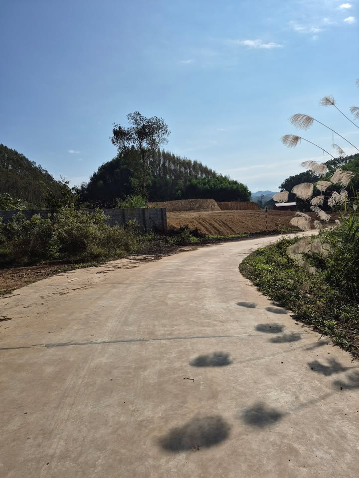 Đất nền Đồng Tiến, Yên Thế 270m² giá chỉ 300 triệu - Đầu tư sinh lời ngay!