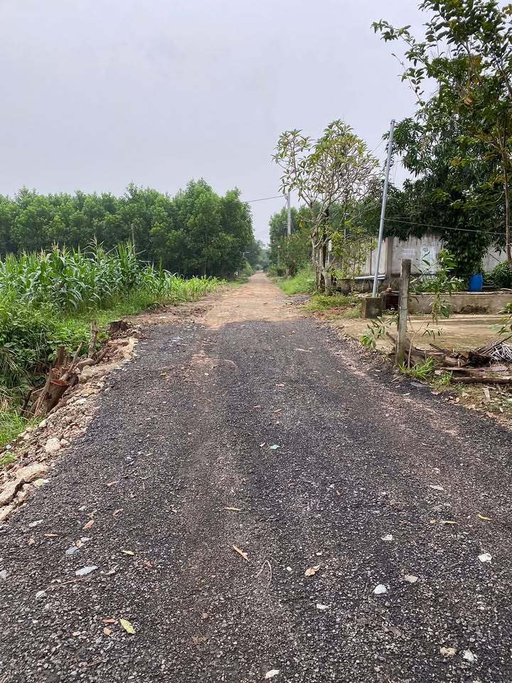 Đất Bầu Cạn Long Thành 1370m² - Giá đầu tư hấp dẫn!