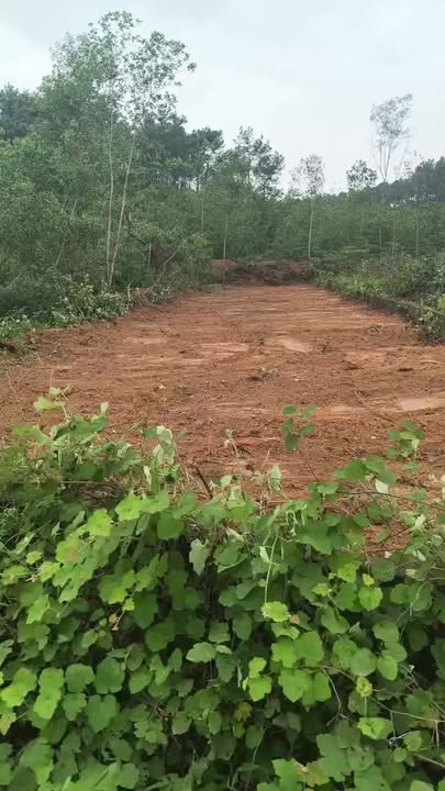 Đất nền khu phố 3, phường Nam Nghĩa, 321m² giá 1.5 tỷ - Đầu tư sinh lời tốt!