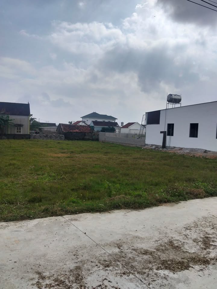 Đất Tiến Thành, Yên Thành 307m² - Đường bê tông rộng, Dân cư thịnh vượng